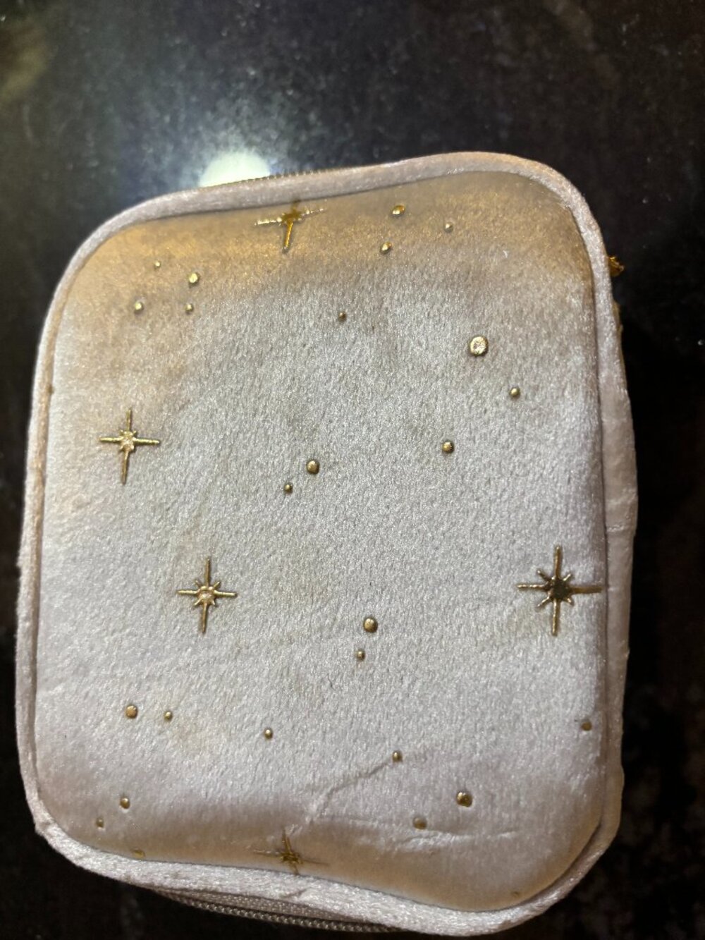 Jewelry/Makeup Pouch NWOT